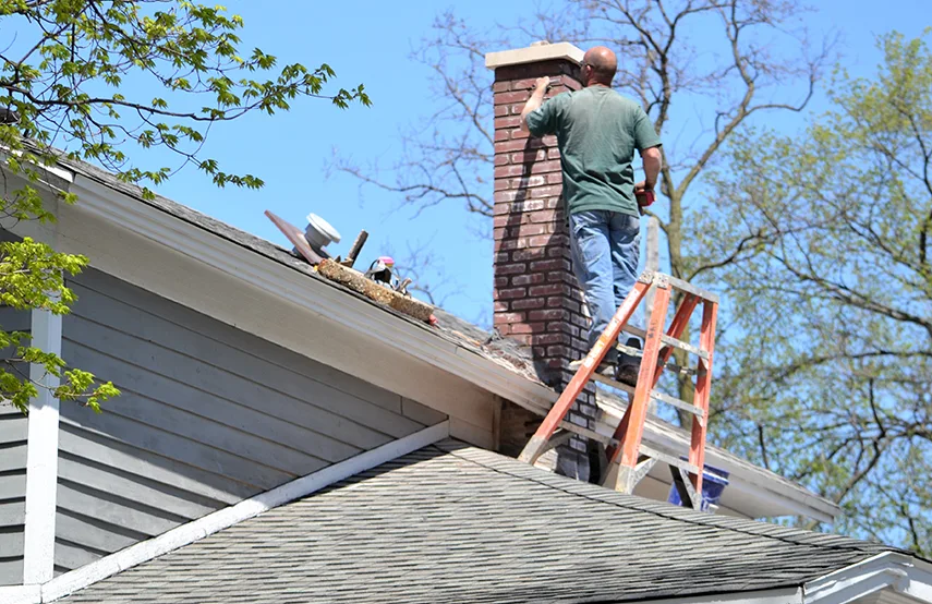 Chimney & Fireplace Inspections Services in Wilmington, DE
